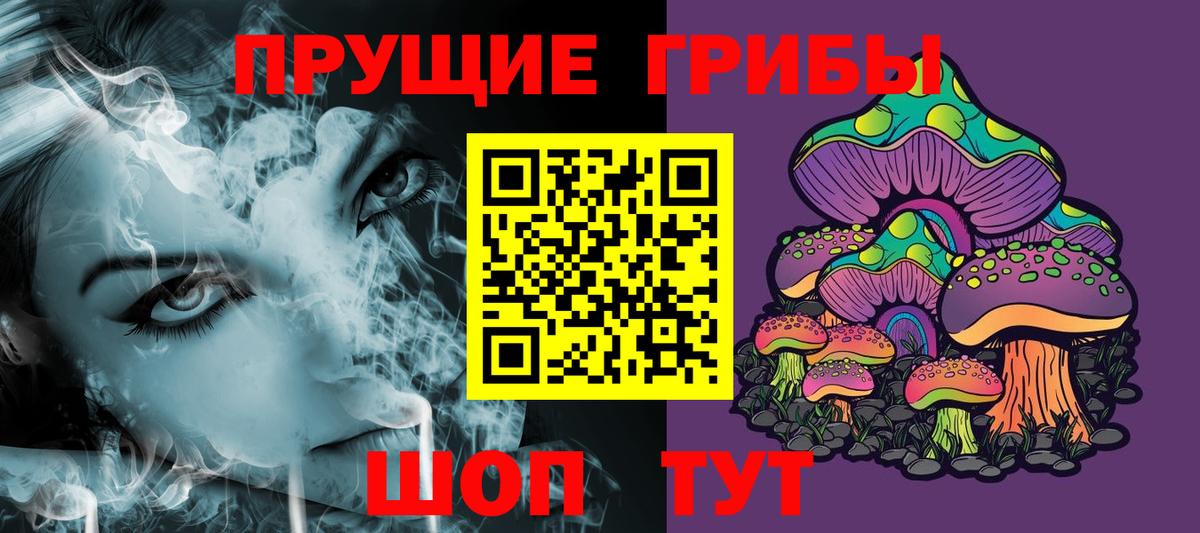 Волжск  Галлюциногенные грибы Cubensis  Вход с VPN 
