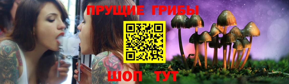 Псилоцибиновые грибы мицелий Волжск